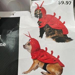 Lobster Costume